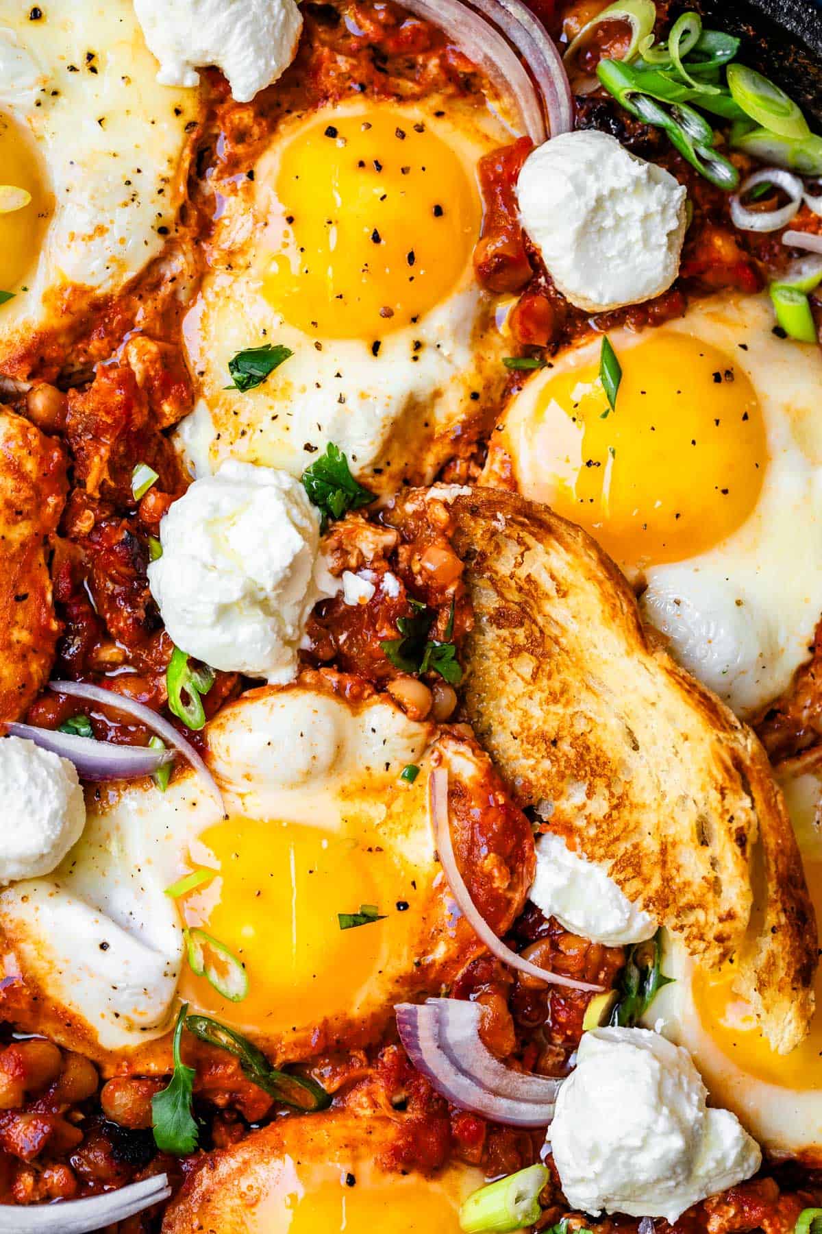 close up of crusty bread scooping into white bean shakshuka and egg.