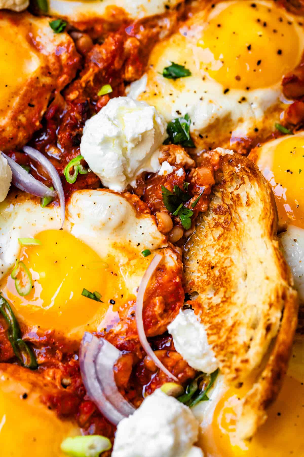 shakhuka with egg garnished with red onion and a small piece of toast.