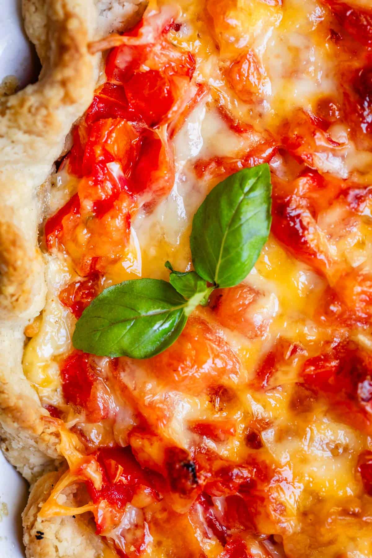 Overhead close up shot of tomato pie with melty cheese and basil.