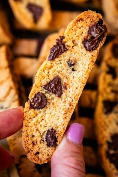 finger and thumb holding a baked biscotti with chocolate chips in it.