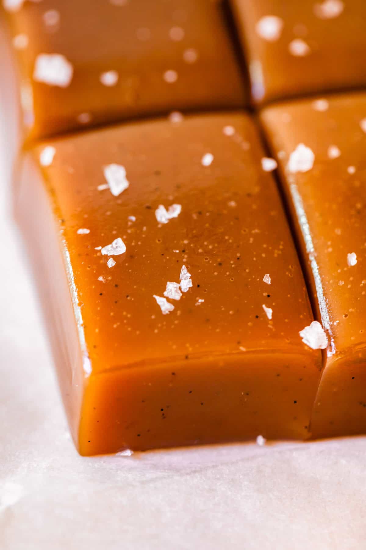 close up of one piece of soft caramel candy with vanilla specks and salt garnish.