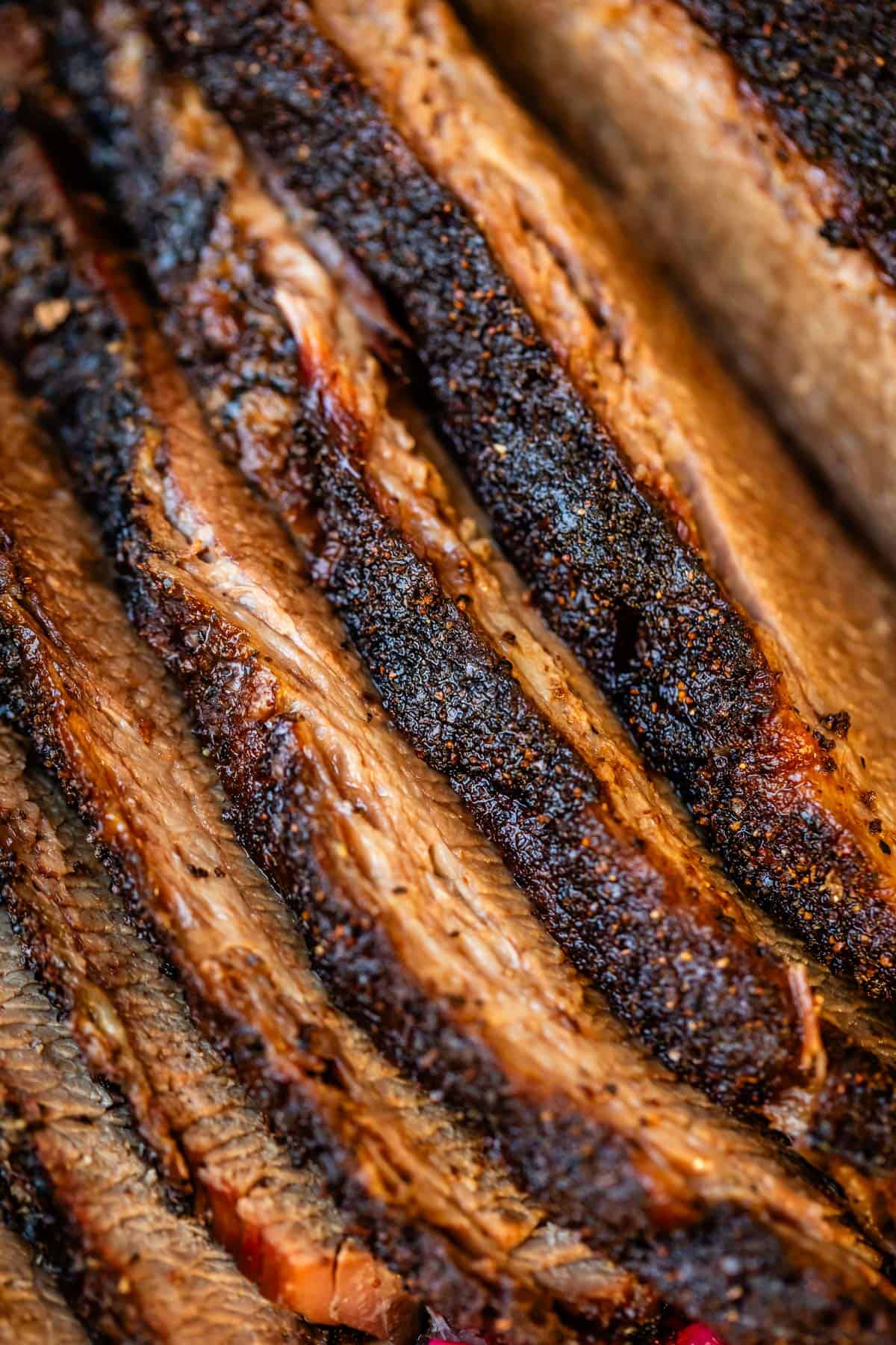 Laid out slices of beef brisket with seared fat-cap close up.