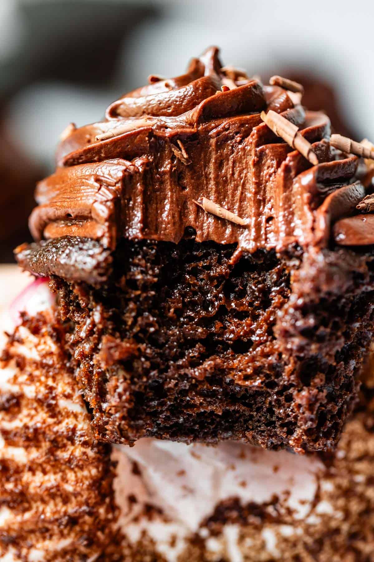 chocolate cupcake topped with piped chocolate frosting with a huge bite take from it.