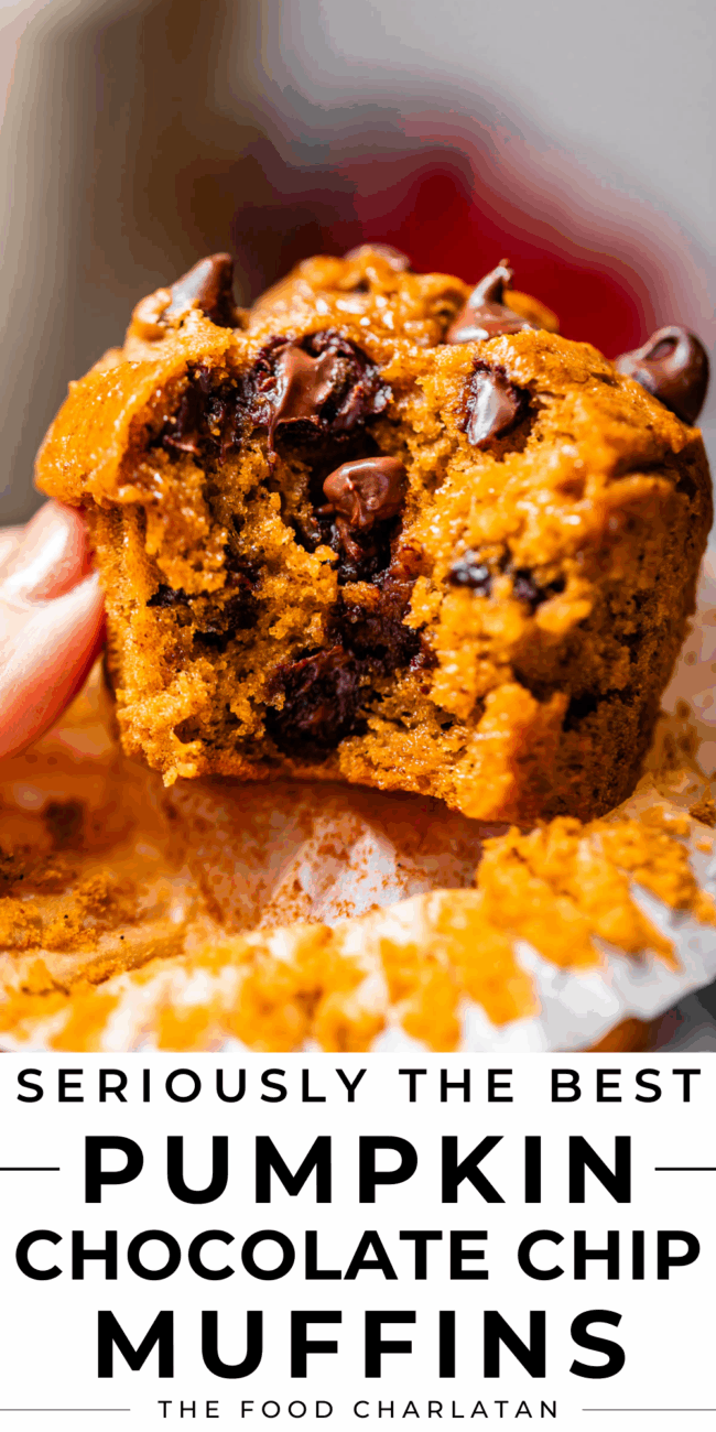 pinterest image of a muffin with text "seriously the best pumpkin chocolate chip muffins".