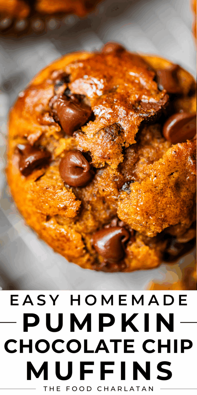 pinterest image of a muffin with text "easy homemade pumpkin chocolate chip muffins".