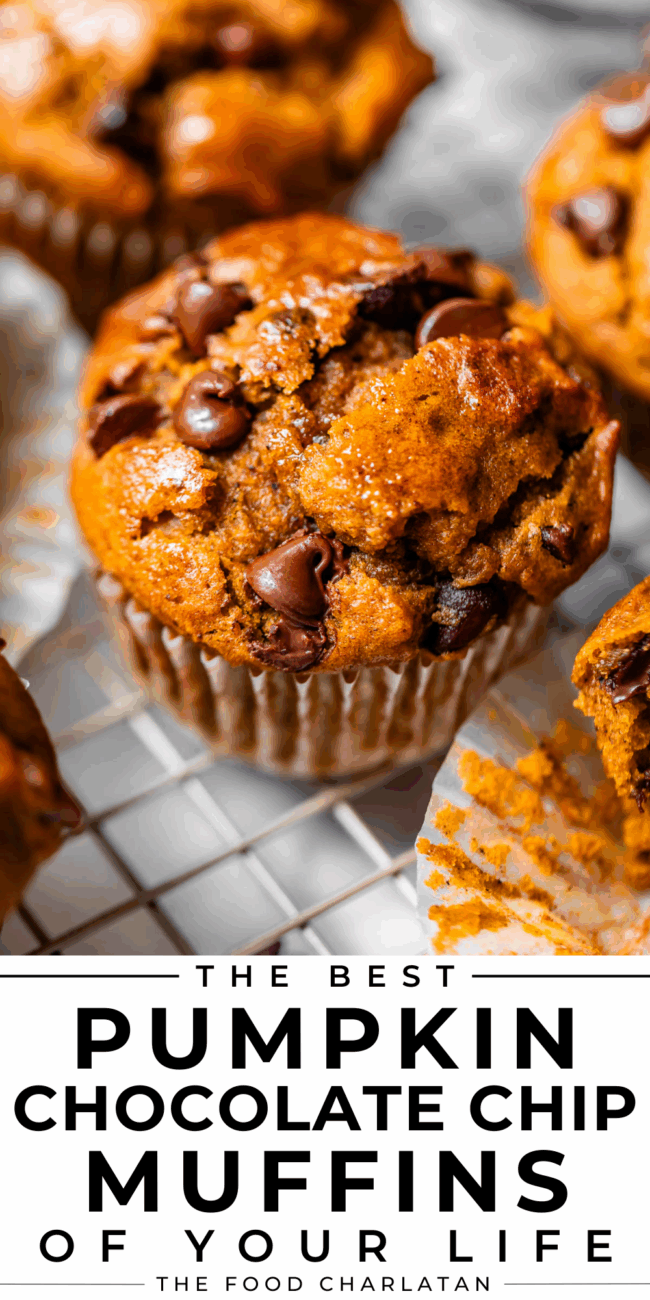 pinterest image of a muffin with text "the best pumpkin chocolate chip muffins of your life".