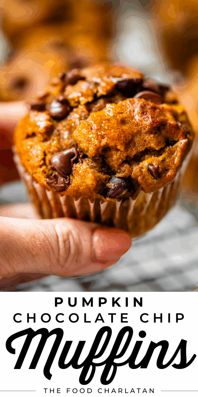 pinterest image of a muffin with text "pumpkin chocolate chip muffins".