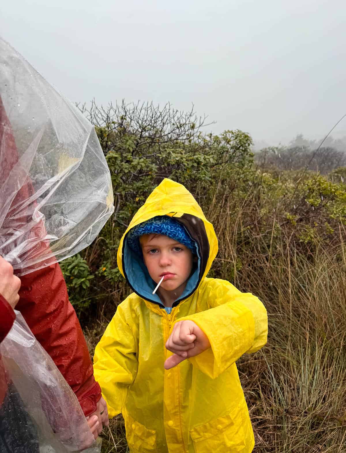 A young child in a yellow raincoat stands outdoors on a foggy day, holding a lollipop and giving a thumbs-down. Bushes and tall grass are in the background.