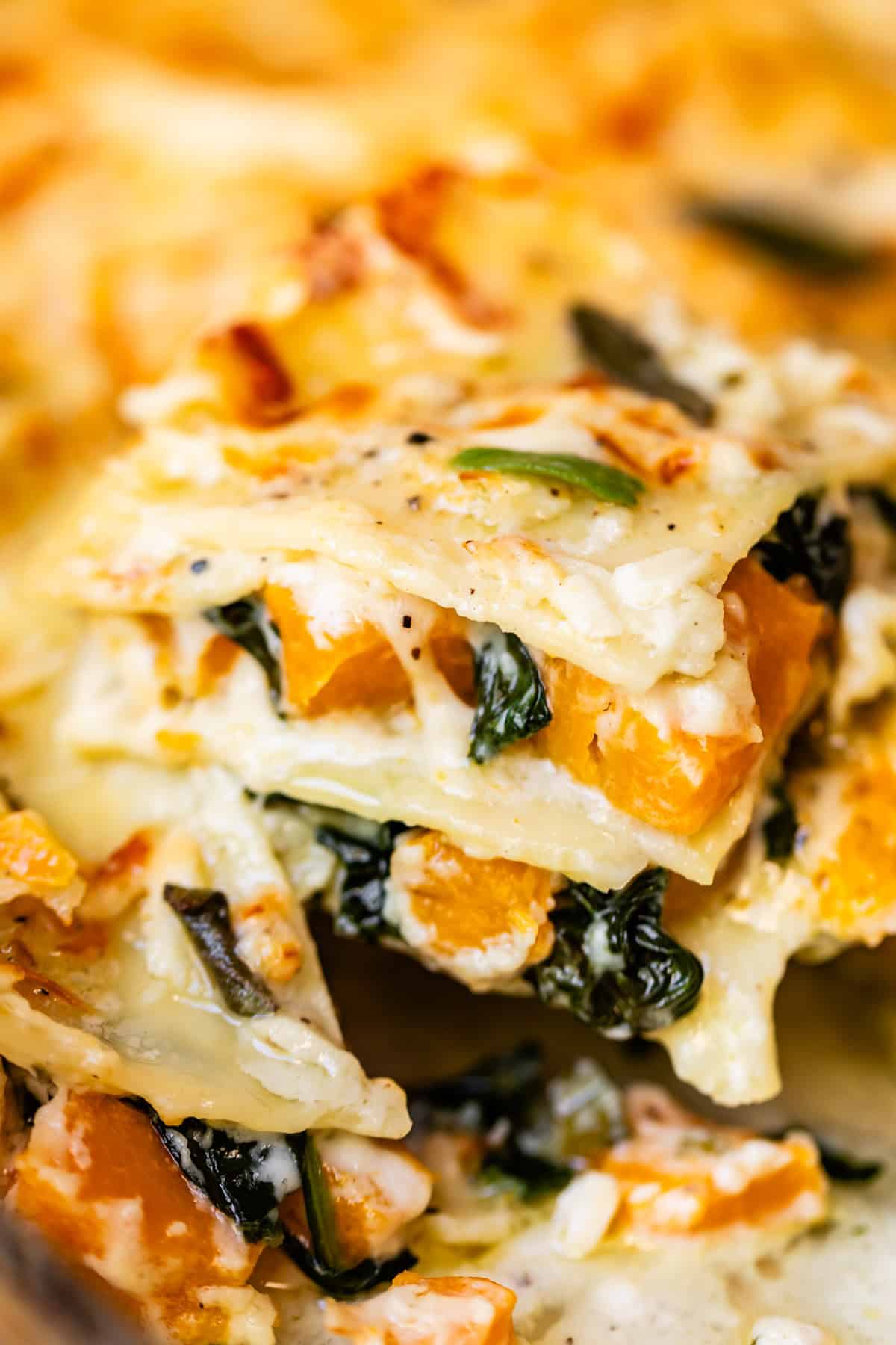 A close-up of a slice of vegetarian lasagna, showing visible layers of pasta, creamy cheese sauce, spinach, and chunks of roasted butternut squash.
