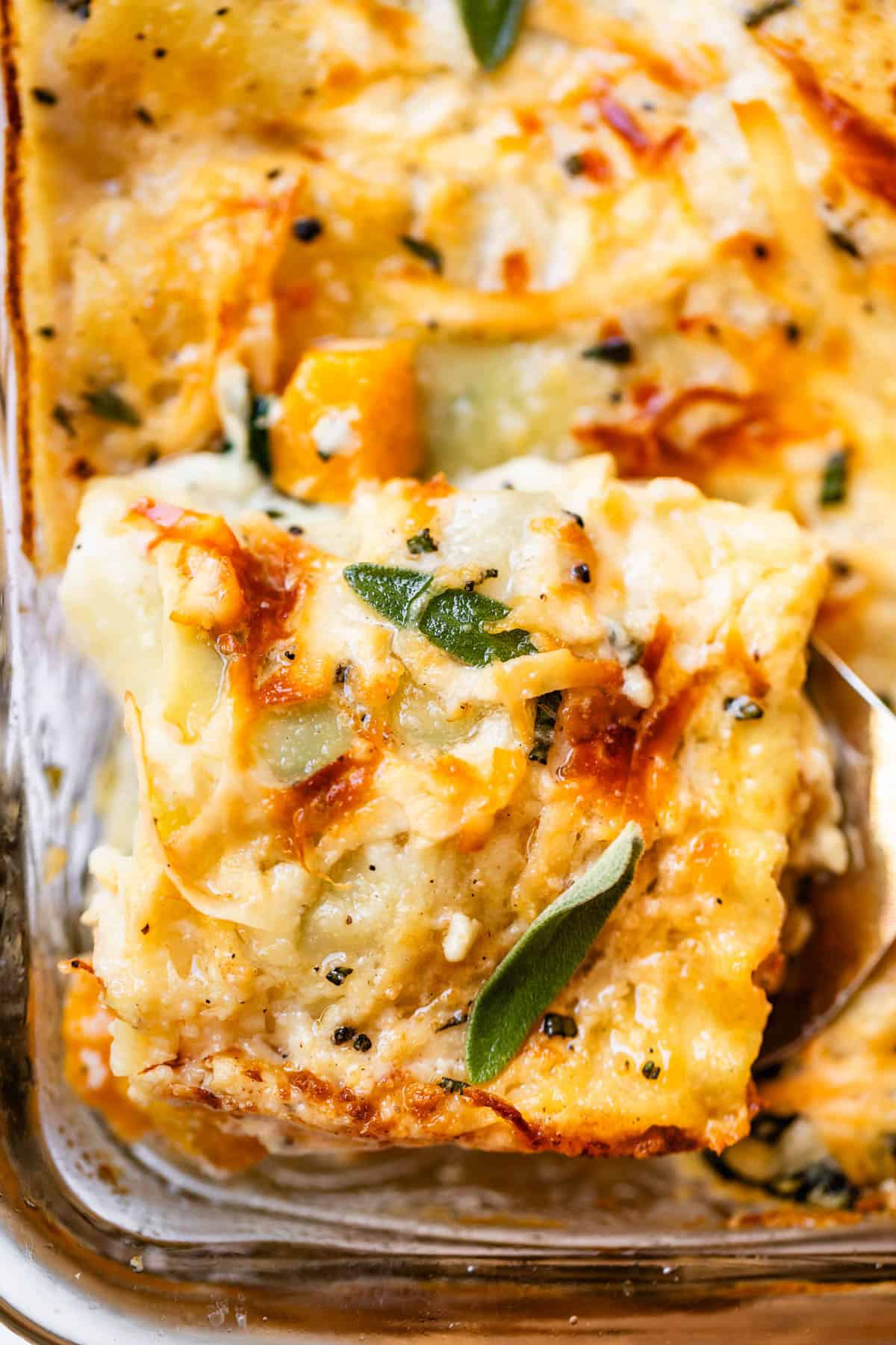 A close-up of a cheesy layered casserole with golden-brown edges, melted cheese, visible herbs, and a serving being lifted out with a spatula.